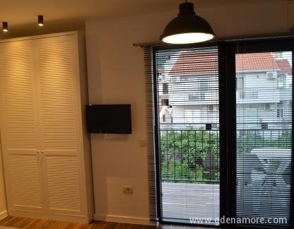Vila Alexandra, Soba 15, частни квартири в града Budva, Черна Гора